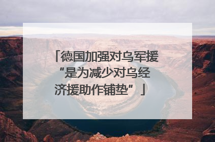 德国加强对乌军援 “是为减少对乌经济援助作铺垫”