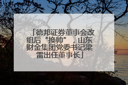 德邦证券董事会改组后“换帅”，山东财金集团党委书记梁雷出任董事长