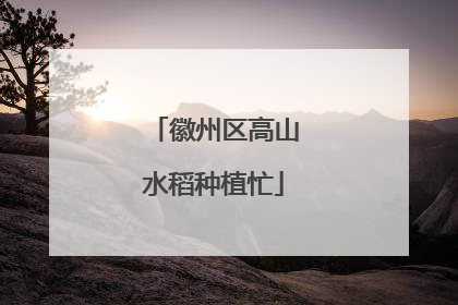 徽州区高山水稻种植忙