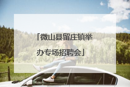 微山县留庄镇举办专场招聘会