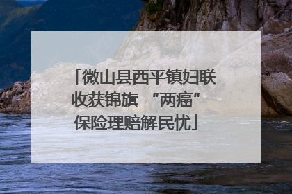 微山县西平镇妇联收获锦旗 “两癌”保险理赔解民忧