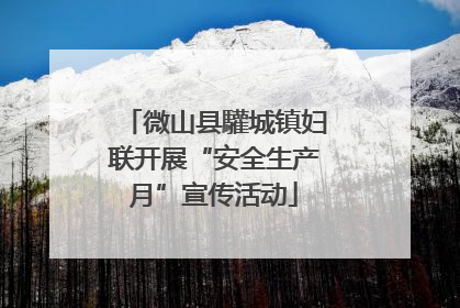 微山县驩城镇妇联开展“安全生产月”宣传活动