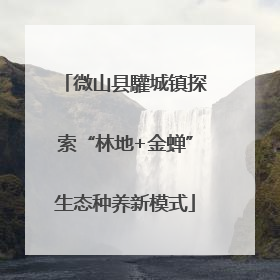 微山县驩城镇探索“林地+金蝉”生态种养新模式