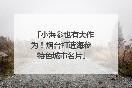 小海参也有大作为！烟台打造海参特色城市名片