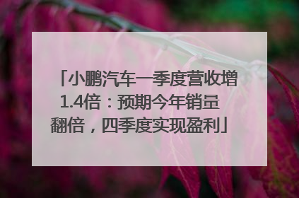 小鹏汽车一季度营收增1.4倍：预期今年销量翻倍，四季度实现盈利