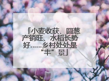 小麦收获、圆葱产销旺、水稻长势好……乡村处处是“丰”景