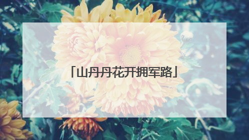 山丹丹花开拥军路