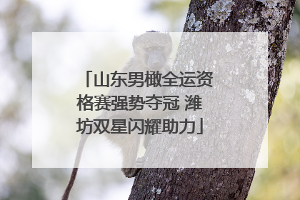 山东男橄全运资格赛强势夺冠 潍坊双星闪耀助力