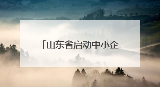山东省启动中小企业出海专项行动 以优质中小企业“走出去”新成效展示山东产业发展新形象
