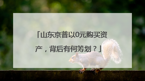 山东京普以0元购买资产，背后有何筹划？