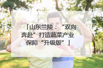 山东兰陵：“双向奔赴”打造蔬菜产业保障“升级版”