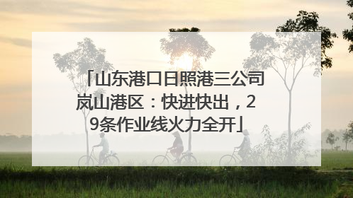 山东港口日照港三公司岚山港区：快进快出，29条作业线火力全开