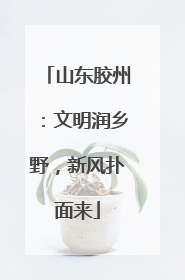 山东胶州：文明润乡野，新风扑面来