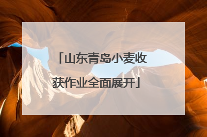 山东青岛小麦收获作业全面展开