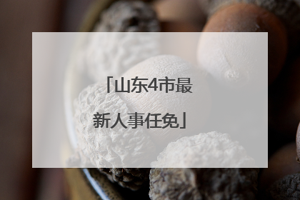 山东4市最新人事任免