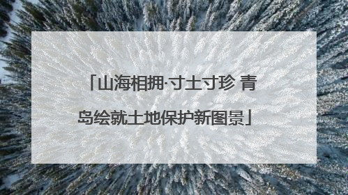 山海相拥·寸土寸珍 青岛绘就土地保护新图景