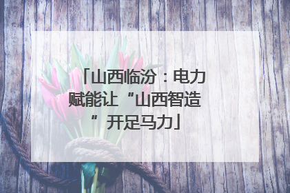 山西临汾：电力赋能让“山西智造”开足马力