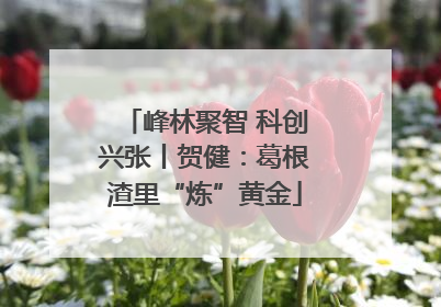 峰林聚智 科创兴张丨贺健：葛根渣里“炼”黄金