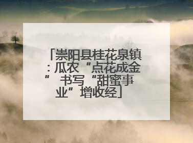 崇阳县桂花泉镇：瓜农“点花成金” 书写“甜蜜事业”增收经