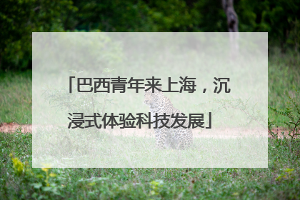 巴西青年来上海，沉浸式体验科技发展