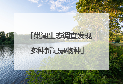 巢湖生态调查发现多种新记录物种