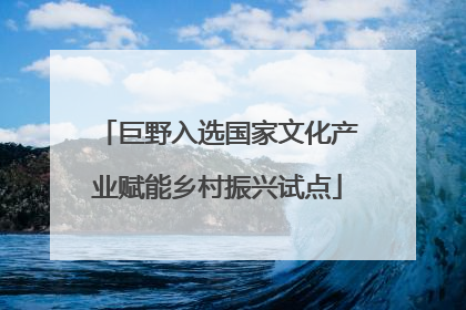 巨野入选国家文化产业赋能乡村振兴试点