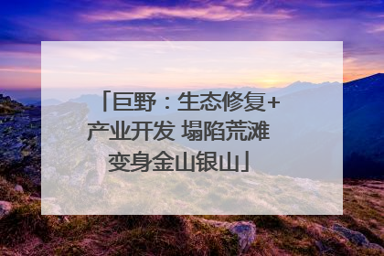 巨野：生态修复+产业开发 塌陷荒滩变身金山银山