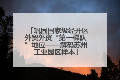 巩固国家级经开区外贸外资“第一梯队”地位——解码苏州工业园区样本