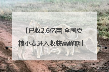 已收2.6亿亩 全国夏粮小麦进入收获高峰期