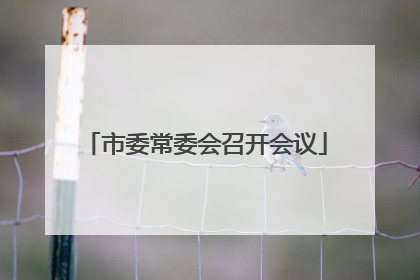 市委常委会召开会议