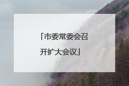 市委常委会召开扩大会议