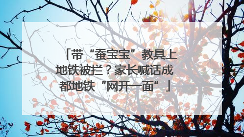 带“蚕宝宝”教具上地铁被拦？家长喊话成都地铁“网开一面”