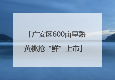 广安区600亩早熟黄桃抢“鲜”上市