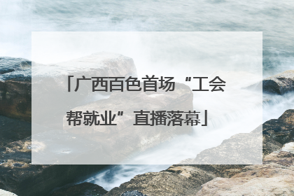 广西百色首场“工会帮就业”直播落幕