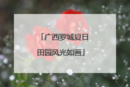 广西罗城夏日田园风光如画