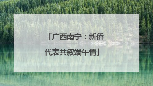 广西南宁：新侨代表共叙端午情