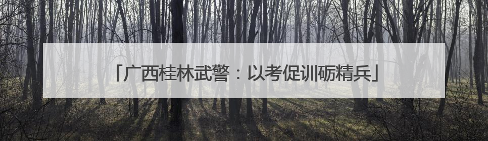 广西桂林武警：以考促训砺精兵