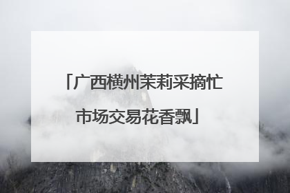 广西横州茉莉采摘忙 市场交易花香飘
