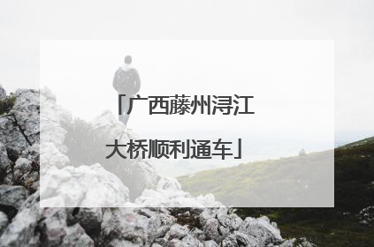 广西藤州浔江大桥顺利通车