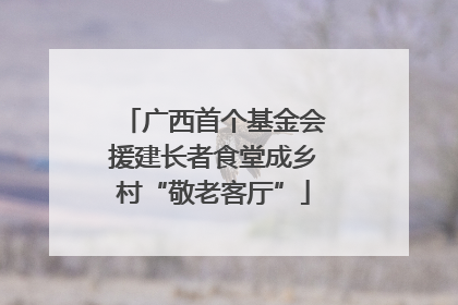 广西首个基金会援建长者食堂成乡村“敬老客厅”