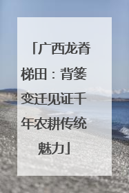 广西龙脊梯田：背篓变迁见证千年农耕传统魅力