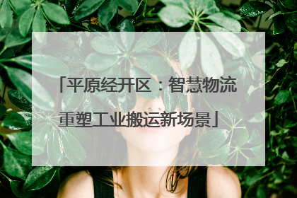 平原经开区：智慧物流重塑工业搬运新场景