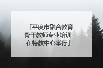 平度市融合教育骨干教师专业培训在特教中心举行