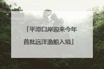 平潭口岸迎来今年首批远洋渔船入境