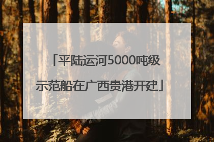 平陆运河5000吨级示范船在广西贵港开建