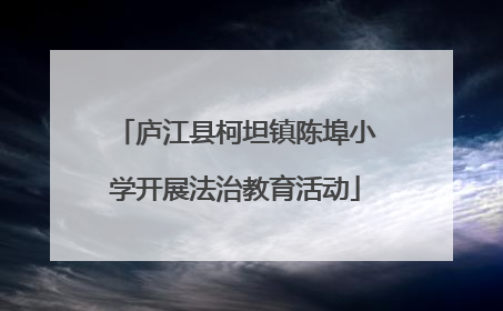 庐江县柯坦镇陈埠小学开展法治教育活动
