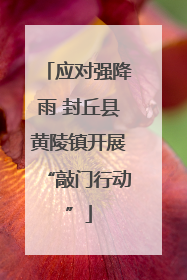 应对强降雨 封丘县黄陵镇开展“敲门行动”