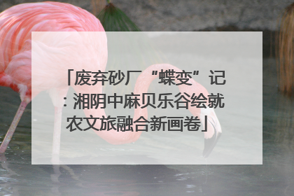 废弃砂厂“蝶变”记：湘阴中麻贝乐谷绘就农文旅融合新画卷
