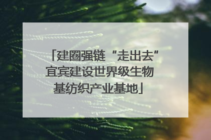 建圈强链“走出去” 宜宾建设世界级生物基纺织产业基地