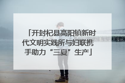 开封杞县高阳镇新时代文明实践所与妇联携手助力“三夏”生产